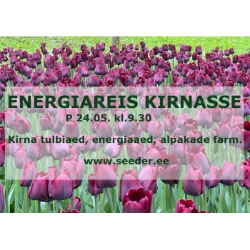 Kirna reisi pilt.jpg