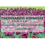 Energiareis Kirna ravimõisa