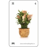 Abikaart VÕIMALUSTE KÜLLUS