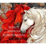 Suhted ja armastus Hobuseaastal -salvestus