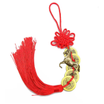 Maagiline abivahend HOBUSEAASTA RIPUTIS