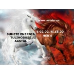 02.02. - Suhete energia Tulihobuse aastal