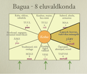 Maagiline abivahend KILPKONNA KAUAKESTEV KÜLLUS