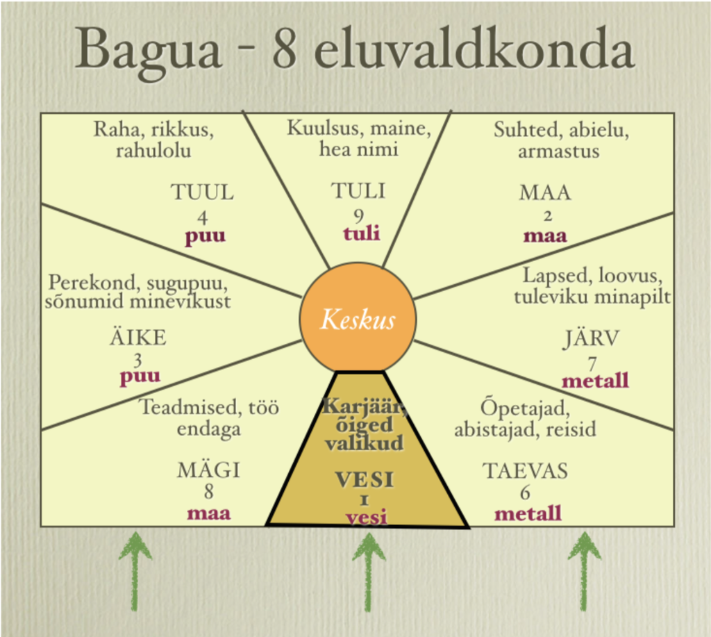 Maagiline abivahend KILPKONNA KAUAKESTEV KÜLLUS