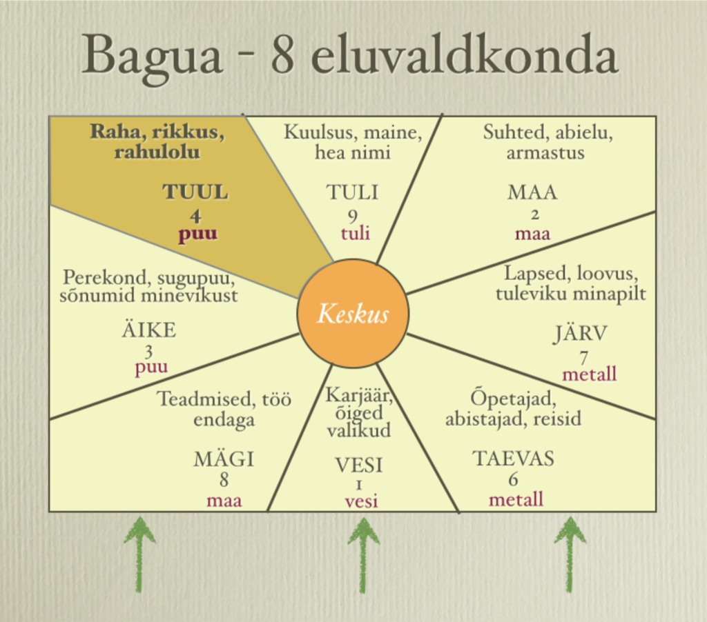 Maagiline abivahend KILPKONNA KAUAKESTEV KÜLLUS