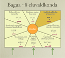 bagua-suhted.webp