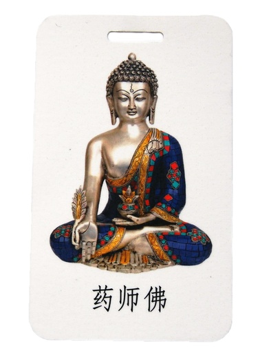 [AV20] Abikaart BUDA