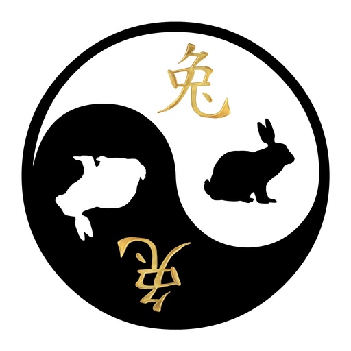 [KL11] Kleeps Yin-Yang Jänes